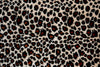 SWATCHES Cheetah Minky Cuddle Fur